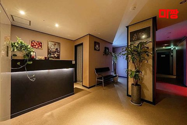 (정왕동) 마사지 건마 킹테라피 