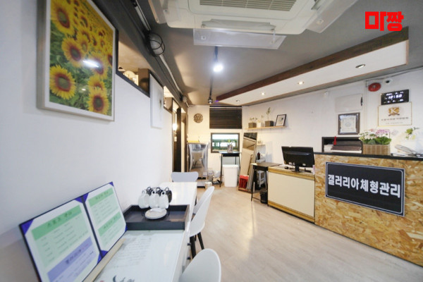 (역삼역) 마사지 건마 갤러리아마사지 
