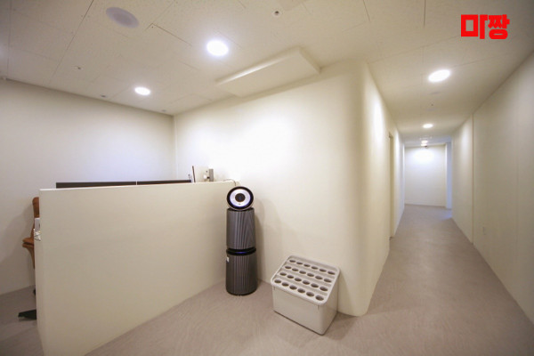 (발산역) 마사지 건마 루루테라피 