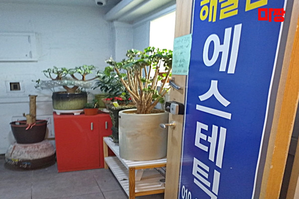 (부산민락) 마사지 건마 해울림마사지 