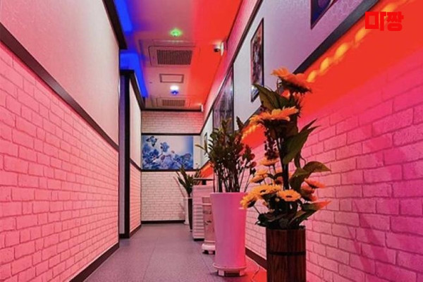 (나성동) 마사지 건마 힐링테라피 