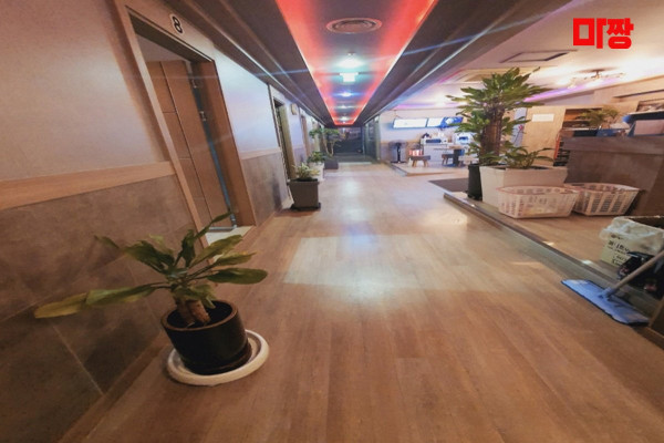 (효자동) 마사지 건마 숲아로마 