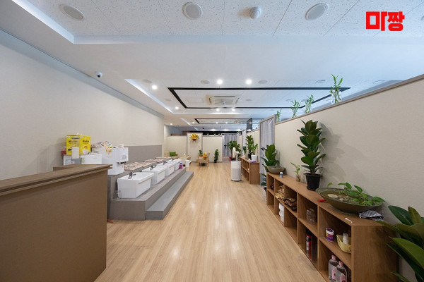 (칠곡) 마사지 건마 신신발마사지 