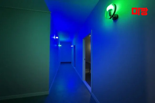 (관설동) 마사지 건마 뉴퍼스트테라피 