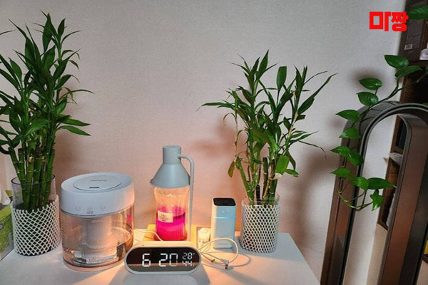 (발산역) 마사지 건마 봄봄테라피 