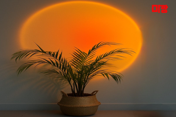 (문정동) 마사지 건마 세인트테라피 