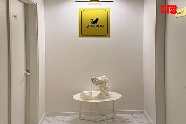 (동삭동) 마사지 건마 냥테라피 