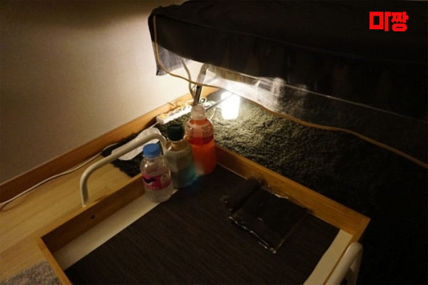 (신월동) 마사지 건마 하윤테라피 