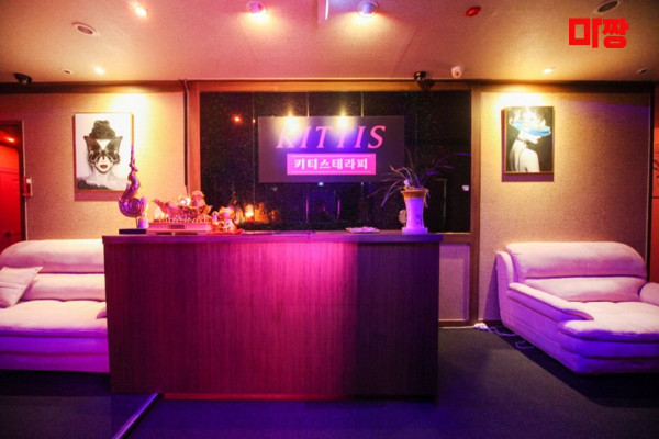 (평촌역) 마사지 건마 키티스테라피 